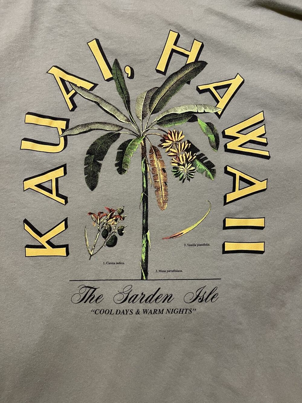 Old Navy Kauai Hawaii T-Shirt Men’s Olive Green Graphic Short Sleeve, EXTRA LRG